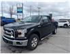 2015 Ford F-150 XLT (Stk: P2242) in Newmarket - Image 4 of 23