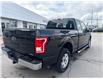 2015 Ford F-150 XLT (Stk: P2242) in Newmarket - Image 10 of 23