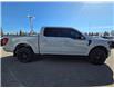 2024 Ford F-150 XLT (Stk: TA-300A) in Calgary - Image 3 of 9