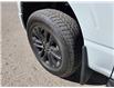 2024 Ford F-150 XLT (Stk: TA-300A) in Calgary - Image 5 of 9