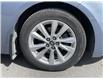 2023 Toyota Corolla LE (Stk: 12108469A) in Concord - Image 15 of 18