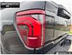 2026 Ford F-150 Platinum (Stk: 6F185806) in Brantford - Image 10 of 24