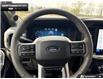 2026 Ford F-150 Platinum (Stk: 6F185806) in Brantford - Image 13 of 24