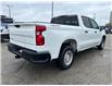 2024 Chevrolet Silverado 1500 Work Truck (Stk: 1084) in Kitchener - Image 5 of 14 2024 Chevrolet Silverado 1500 Work Truck (Stk: 1084) in Kitchener - Image 5 of 14