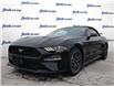 2023 Ford Mustang EcoBoost (Stk: 984) in Kitchener - Image 1 of 24