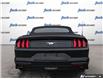 2023 Ford Mustang EcoBoost (Stk: 984) in Kitchener - Image 5 of 24