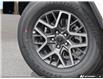 2025 Jeep Wrangler Sahara (Stk: 44555) in Kitchener - Image 7 of 21 2025 Jeep Wrangler Sahara (Stk: 44555) in Kitchener - Image 7 of 21