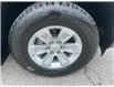 2023 Chevrolet Silverado 1500 Work Truck (Stk: A2265A) in Ottawa - Image 23 of 26