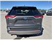 2024 Toyota RAV4 Hybrid Limited (Stk: W189309K) in Cranbrook - Image 4 of 20