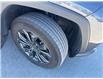 2024 Toyota RAV4 Hybrid Limited (Stk: W189309K) in Cranbrook - Image 20 of 20