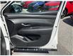 2025 Hyundai Tucson Preferred (Stk: 260489) in Kingston - Image 17 of 21