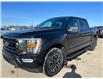 2023 Ford F-150 XLT (Stk: U75740) in Hague - Image 4 of 14