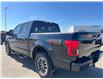 2019 Ford F-150 Lariat (Stk: U06059) in Hague - Image 6 of 13