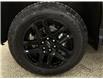 2024 Chevrolet Silverado 1500 LT Trail Boss (Stk: 43909J) in Belleville - Image 26 of 31