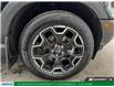 2025 Ford Bronco Sport Outer Banks (Stk: CAP16605) in London - Image 7 of 29