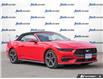 2025 Ford Mustang EcoBoost (Stk: 43198) in Georgetown - Image 7 of 29 2025 Ford Mustang EcoBoost (Stk: 43198) in Georgetown - Image 7 of 29