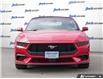 2025 Ford Mustang EcoBoost (Stk: 43198) in Georgetown - Image 8 of 29 2025 Ford Mustang EcoBoost (Stk: 43198) in Georgetown - Image 8 of 29