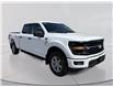 2026 Ford F-150 XLT (Stk: 6T018) in Williams Lake - Image 3 of 10