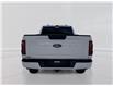 2026 Ford F-150 XLT (Stk: 6T018) in Williams Lake - Image 6 of 10