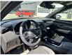 2024 Hyundai Santa Cruz Trend (Stk: 16105533A) in Markham - Image 11 of 14 2024 Hyundai Santa Cruz Trend (Stk: 16105533A) in Markham - Image 11 of 14