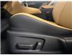 2026 Lexus IS 350  (Stk: 15105764) in Richmond Hill - Image 13 of 19