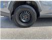 2025 Toyota RAV4 LE (Stk: 260533) in Ottawa - Image 12 of 34