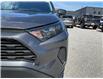 2025 Toyota RAV4 LE (Stk: 260533) in Ottawa - Image 13 of 34