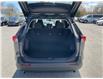 2025 Toyota RAV4 LE (Stk: 260533) in Ottawa - Image 21 of 34