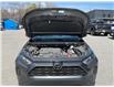 2025 Toyota RAV4 LE (Stk: 260533) in Ottawa - Image 22 of 34