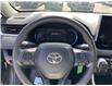 2025 Toyota RAV4 LE (Stk: 260533) in Ottawa - Image 23 of 34