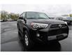 2024 Toyota 4Runner Base (Stk: PR93036) in Windsor - Image 9 of 27