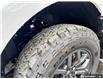 2026 Ford F-150 Tremor (Stk: 0T6414) in Kamloops - Image 7 of 25