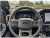 2026 Ford F-150 Tremor (Stk: 0T6414) in Kamloops - Image 14 of 25