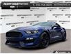 2016 Ford Shelby GT350 Base (Stk: P11744B) in Brantford - Image 1 of 23