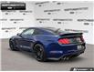2016 Ford Shelby GT350 Base (Stk: P11744B) in Brantford - Image 4 of 23 2016 Ford Shelby GT350 Base (Stk: P11744B) in Brantford - Image 4 of 23