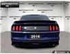 2016 Ford Shelby GT350 Base (Stk: P11744B) in Brantford - Image 5 of 23 2016 Ford Shelby GT350 Base (Stk: P11744B) in Brantford - Image 5 of 23