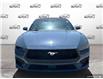 2025 Ford Mustang EcoBoost Premium (Stk: P7401) in Oakville - Image 5 of 30