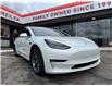 2020 Tesla Model 3 Standard Range Plus (Stk: 2603119) in Waterloo - Image 7 of 23