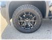2022 Chevrolet Colorado Z71 (Stk: 221446) in Port Hope - Image 5 of 28