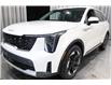 2026 Kia Sorento Hybrid LX (Stk: 24324) in Edmonton - Image 6 of 25 2026 Kia Sorento Hybrid LX (Stk: 24324) in Edmonton - Image 6 of 25