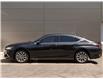 2025 Lexus ES 300h Base (Stk: PL5086) in Windsor - Image 4 of 26