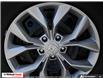 2026 Honda CR-V LX (Stk: WN26475) in Welland - Image 8 of 25