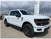 2026 Ford F-150 Tremor (Stk: T69720) in Hague - Image 2 of 14