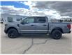 2026 Ford F-150 STX (Stk: T40256) in Hague - Image 5 of 13