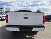 2023 Ford F-150 XLT (Stk: SA-1830A) in Calgary - Image 4 of 9