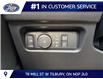 2026 Ford Ranger XLT (Stk: LFRA01865) in Tilbury - Image 9 of 15