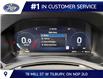 2026 Ford Explorer ST-Line (Stk: LFEX01875) in Tilbury - Image 10 of 15