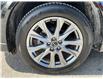 2025 Mazda CX-5 GT (Stk: 260534) in Ottawa - Image 11 of 33