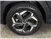 2023 Hyundai Tucson Hybrid Luxury (Stk: 43954J) in Belleville - Image 26 of 31
