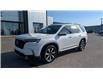 2024 Honda Pilot Touring (Stk: EP605A) in Miramichi - Image 1 of 14